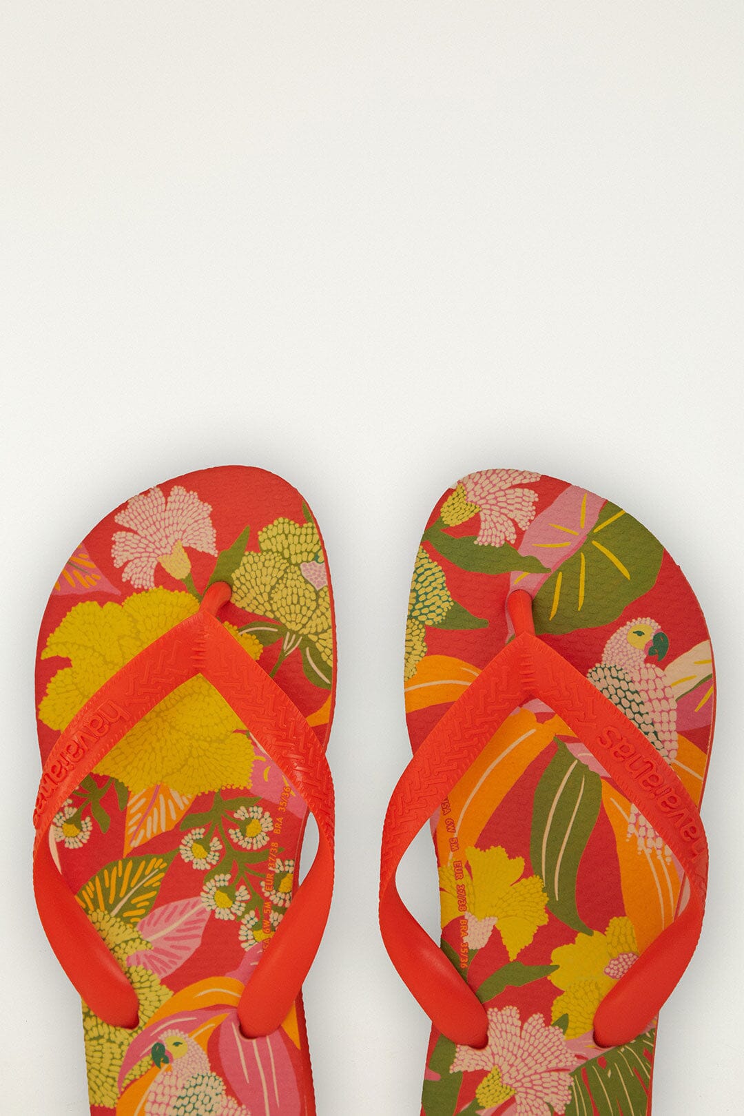 FARM Rio Shop Farm Neon Flor Havaianas Sandals
